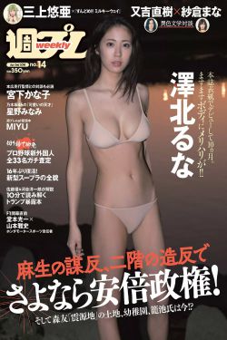宠物小精灵2019动漫全集