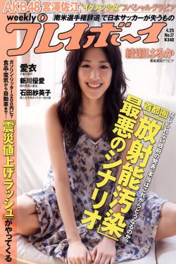 新大头儿子和小头爸爸之秘密计划